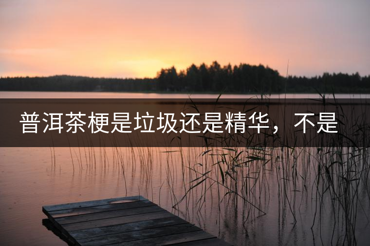 普洱茶梗是垃圾還是精華，不是一個(gè)人說(shuō)的算