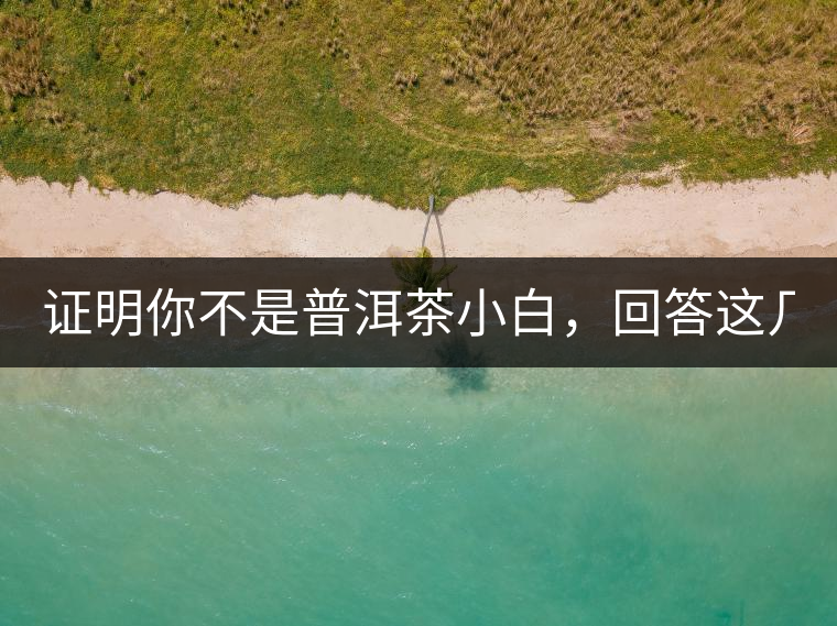 證明你不是普洱茶小白，回答這幾個問題先！