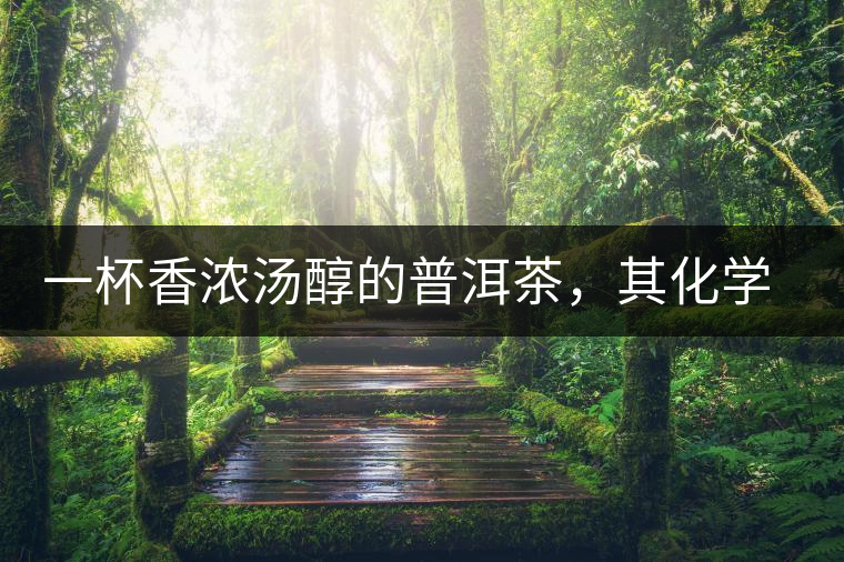 一杯香濃湯醇的普洱茶，其化學(xué)成分是怎樣的？