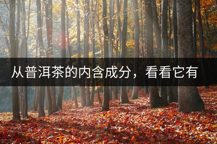 從普洱茶的內(nèi)含成分，看看它有什么功效？