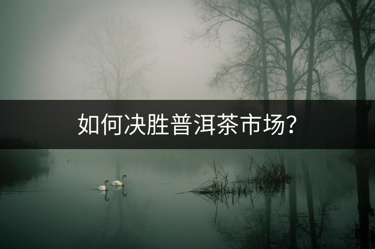 如何決勝普洱茶市場(chǎng)？