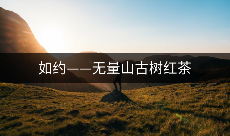 如約——無(wú)量山古樹(shù)紅茶