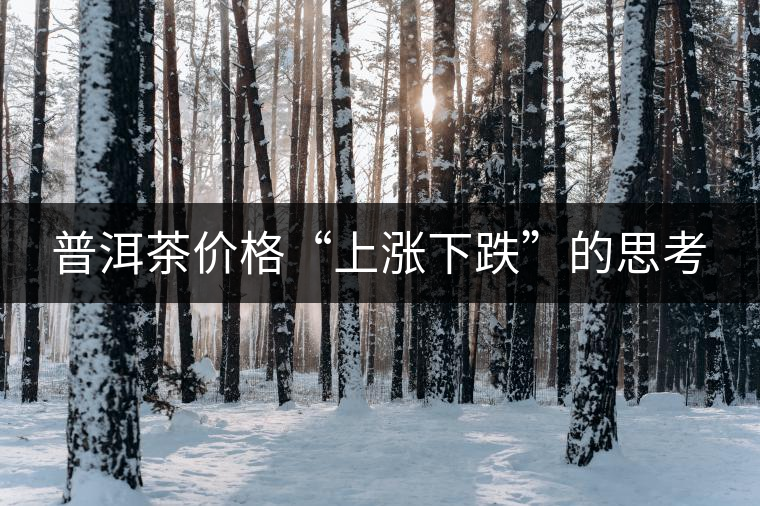普洱茶價(jià)格“上漲下跌”的思考