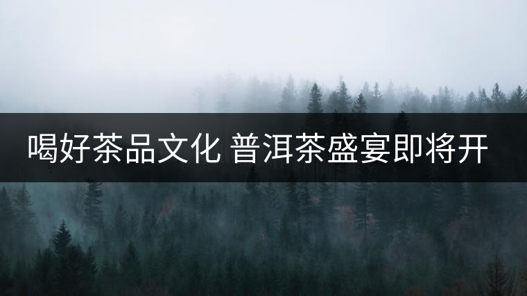 喝好茶品文化 普洱茶盛宴即將開場