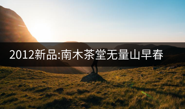2012新品:南木茶堂無(wú)量山早春大樹(shù)茶