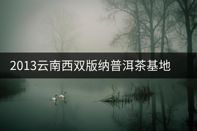 2013云南西雙版納普洱茶基地春茶采摘節(jié)開幕