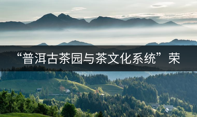 “普洱古茶園與茶文化系統(tǒng)”榮膺中國首批重要農(nóng)業(yè)文化遺產(chǎn)