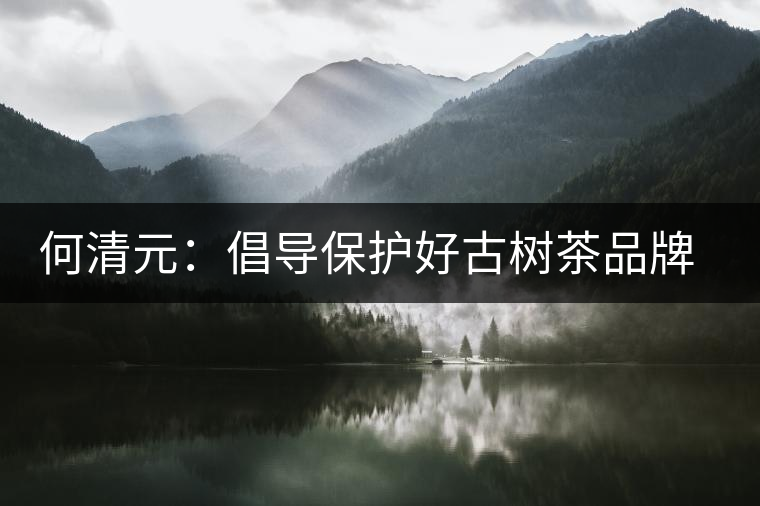 何清元：倡導保護好古樹茶品牌資源