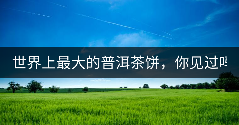 世界上最大的普洱茶餅，你見過嗎？