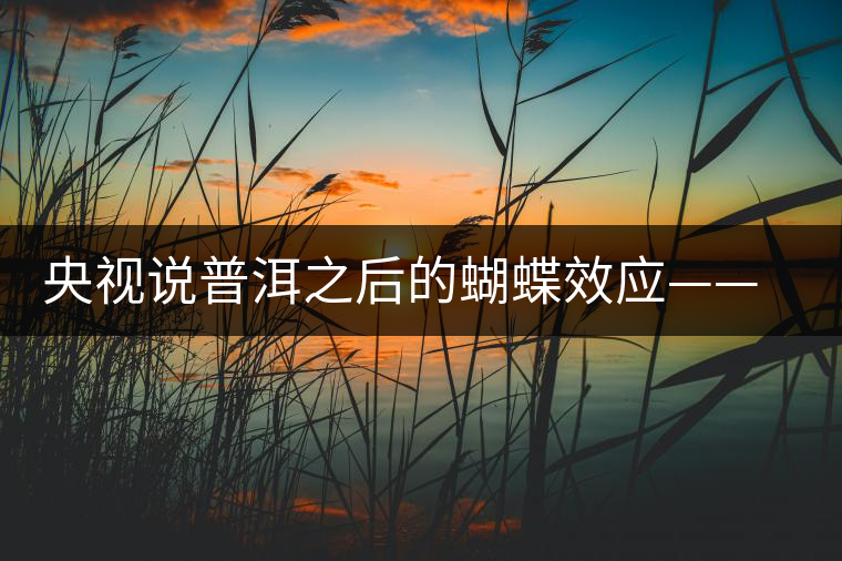 央視說普洱之后的蝴蝶效應——過度開采會出現(xiàn)“死循環(huán)”？