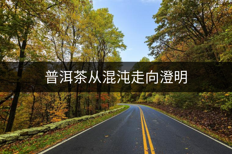 普洱茶從混沌走向澄明 普洱茶從混沌走向澄明