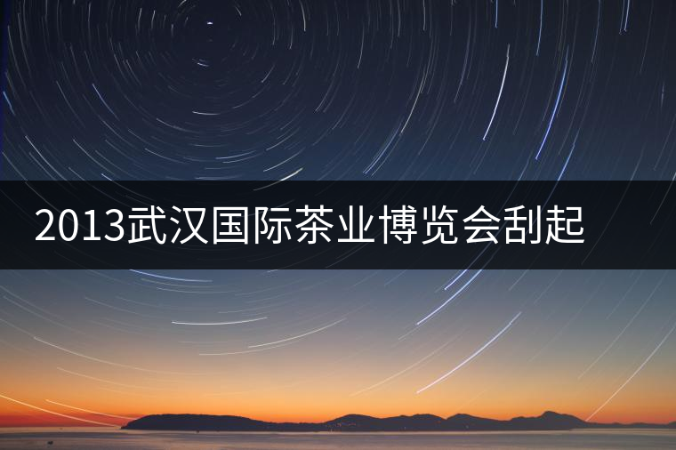 2013武漢國際茶業(yè)博覽會(huì)刮起一股“黑旋風(fēng) 2013武漢國際茶業(yè)博覽會(huì)刮起一股“黑旋風(fēng)
