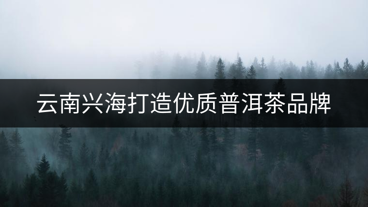 云南興海打造優(yōu)質普洱茶品牌