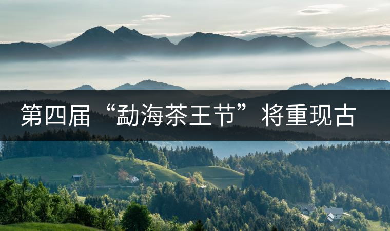 第四屆“勐海茶王節(jié)”將重現古老傳統(tǒng)制茶技藝