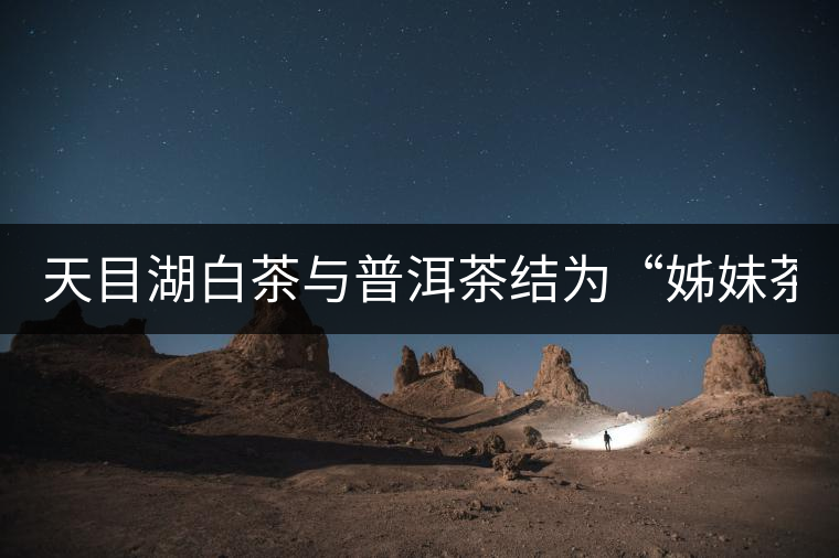 天目湖白茶與普洱茶結(jié)為“姊妹茶”