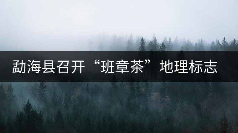 勐?？h召開(kāi)“班章茶”地理標(biāo)志認(rèn)證評(píng)審會(huì)