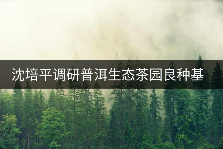 沈培平調研普洱生態(tài)茶園良種基地