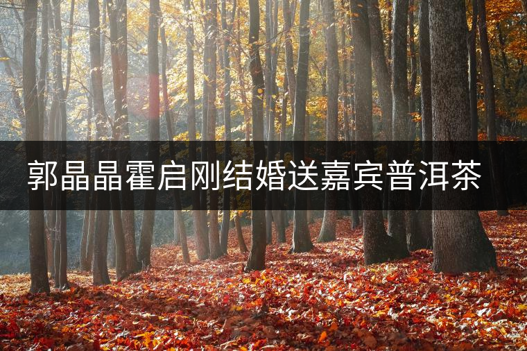 郭晶晶霍啟剛結(jié)婚送嘉賓普洱茶當禮物 郭晶晶霍啟剛結(jié)婚送嘉賓普洱茶當禮物