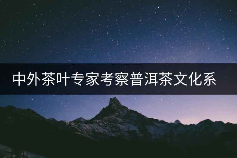 中外茶葉專家考察普洱茶文化系統(tǒng) 中外茶葉專家考察普洱茶文化系統(tǒng)