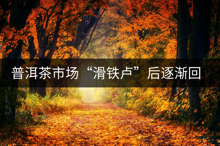 普洱茶市場“滑鐵盧”后逐漸回暖