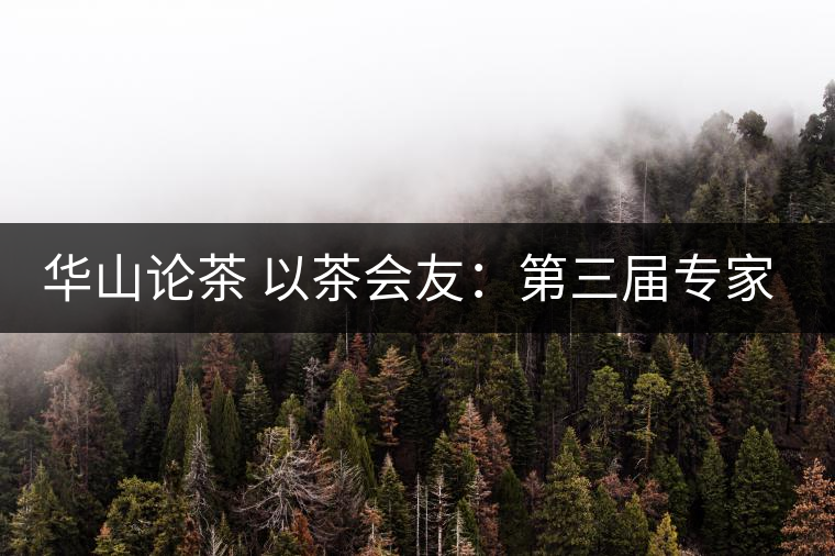 華山論茶 以茶會(huì)友:第三屆專家評(píng)茶會(huì) 華山論茶 以茶會(huì)友:第三屆專家評(píng)茶會(huì)