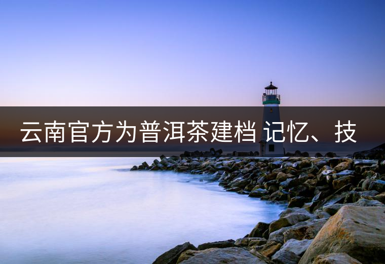 云南官方為普洱茶建檔 記憶、技藝雙傳承