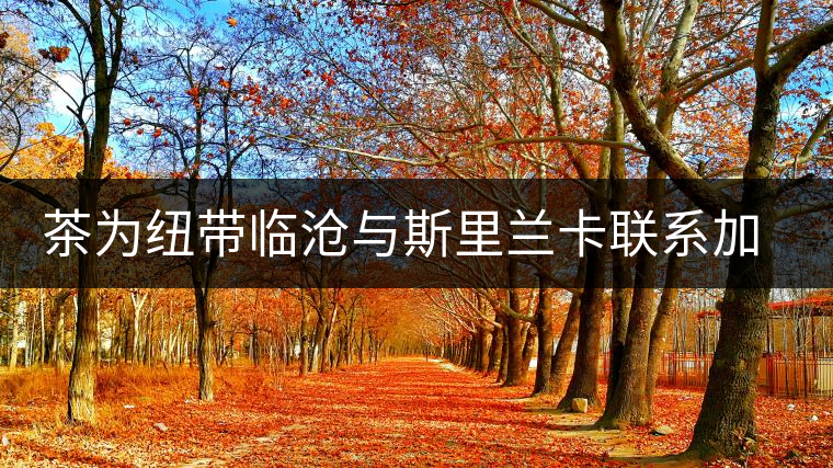 茶為紐帶臨滄與斯里蘭卡聯(lián)系加深 茶為紐帶臨滄與斯里蘭卡聯(lián)系加深