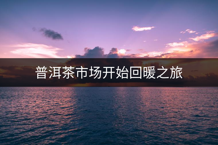 普洱茶市場(chǎng)開始回暖之旅 普洱茶市場(chǎng)開始回暖之旅