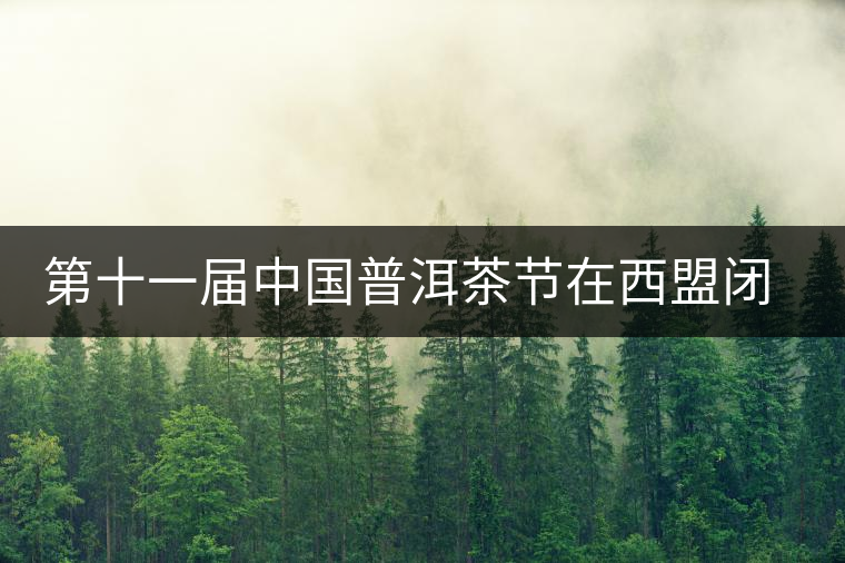 第十一屆中國普洱茶節(jié)在西盟閉幕