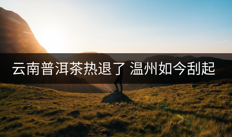 云南普洱茶熱退了 溫州如今刮起了“黑茶風”