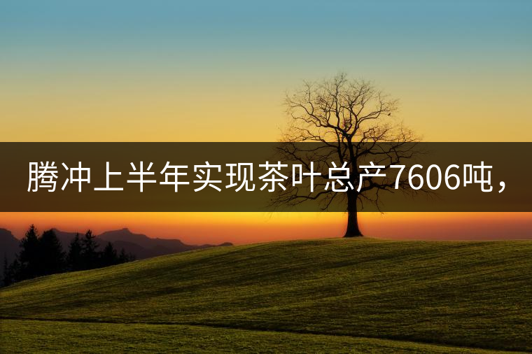 騰沖上半年實現(xiàn)茶葉總產(chǎn)7606噸，總產(chǎn)值5.58億元