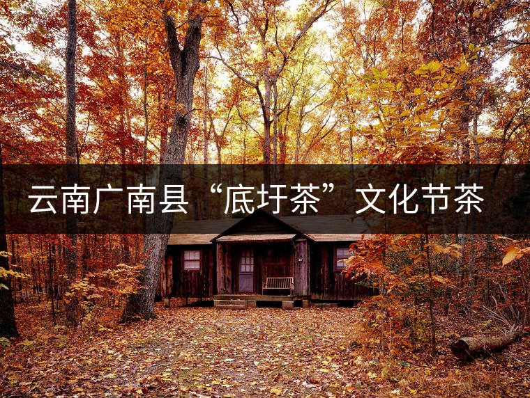 云南廣南縣“底圩茶”文化節(jié)茶品評(píng)會(huì)傳遞底圩傳統(tǒng)茶韻