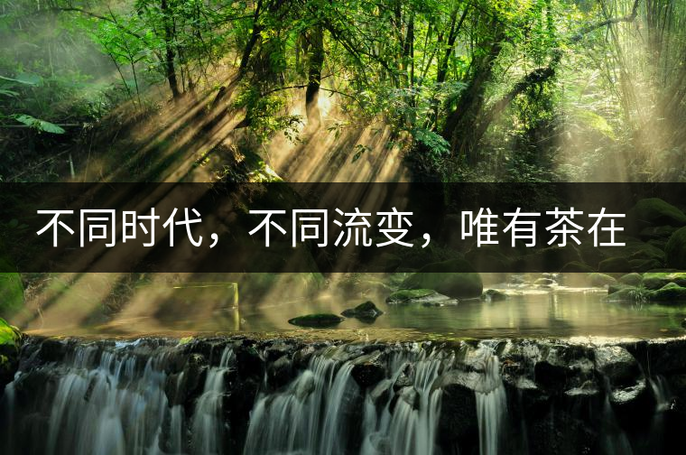 不同時(shí)代，不同流變，唯有茶在傳承