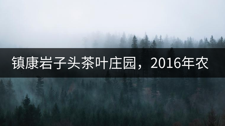鎮(zhèn)康巖子頭茶葉莊園,2016年農(nóng)業(yè)產(chǎn)值達(dá)6000余萬元 鎮(zhèn)康巖子頭茶葉莊園,2016年農(nóng)業(yè)產(chǎn)值達(dá)6000余萬元