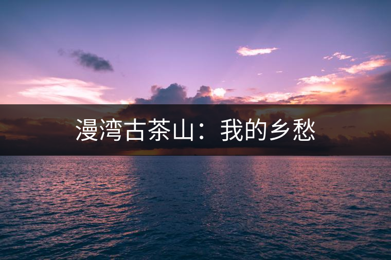 漫灣古茶山：我的鄉(xiāng)愁