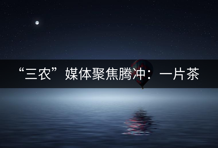 “三農(nóng)”媒體聚焦騰沖：一片茶葉寫(xiě)就脫貧及茶葉品牌的塑造