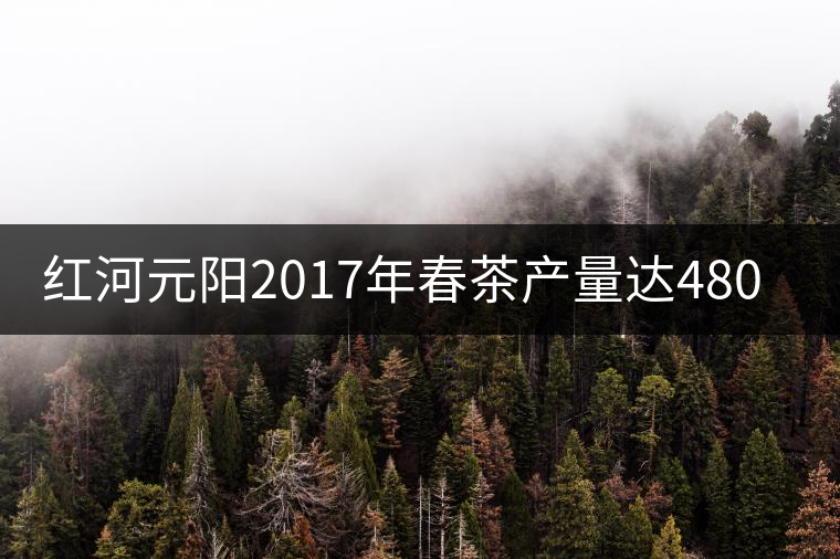 紅河元陽2017年春茶產(chǎn)量達480噸，產(chǎn)值近900萬元