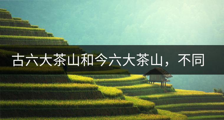 古六大茶山和今六大茶山，不同普洱茶品質(zhì)