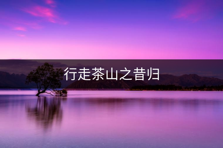 行走茶山之昔歸