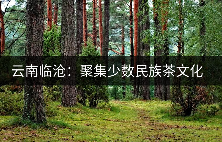 云南臨滄：聚集少數民族茶文化的地方