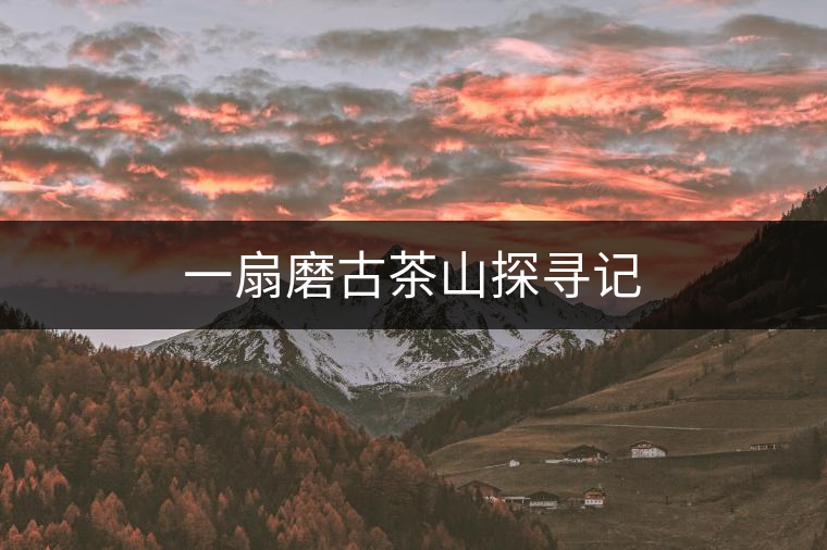 一扇磨古茶山探尋記 一扇磨古茶山探尋記