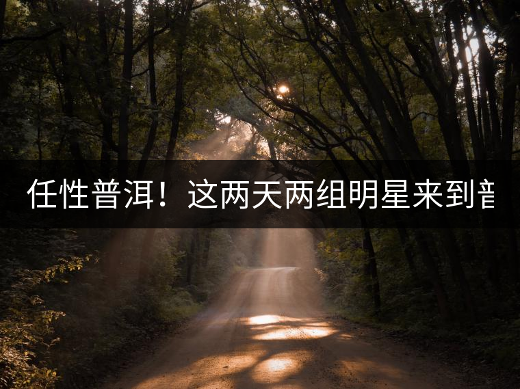 任性普洱！這兩天兩組明星來(lái)到普洱！