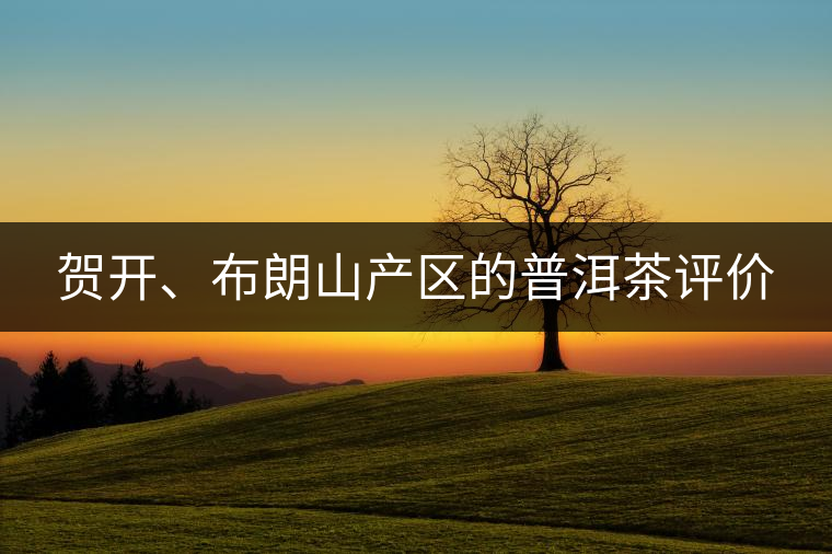 賀開、布朗山產(chǎn)區(qū)的普洱茶評(píng)價(jià)