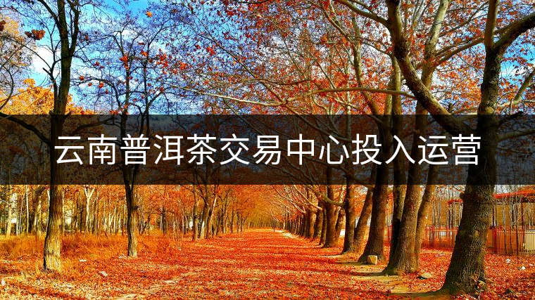 云南普洱茶交易中心投入運營