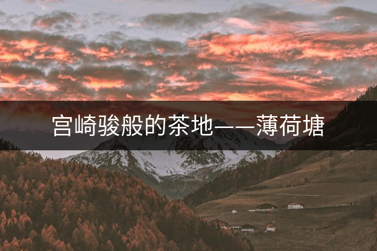 宮崎駿般的茶地——薄荷塘 宮崎駿般的茶地——薄荷塘