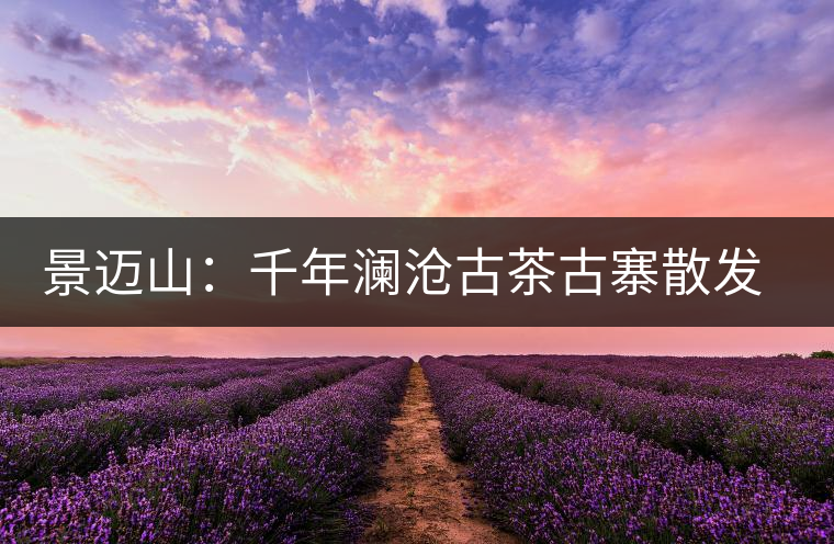 景邁山：千年瀾滄古茶古寨散發(fā)醇厚余香