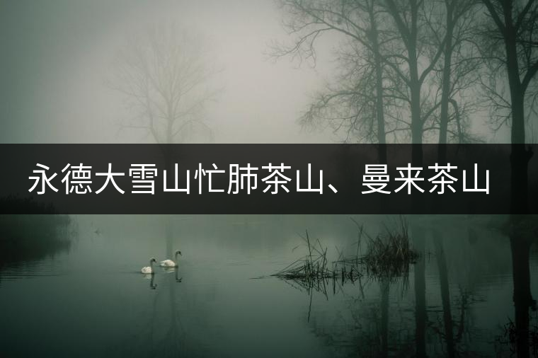 永德大雪山忙肺茶山、曼來茶山、放牛場茶園的生態(tài)指數(shù)