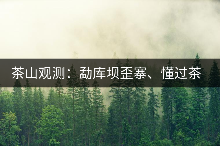 茶山觀測(cè)：勐庫(kù)壩歪寨、懂過(guò)茶山、大戶寨等茶山的生態(tài)指數(shù)