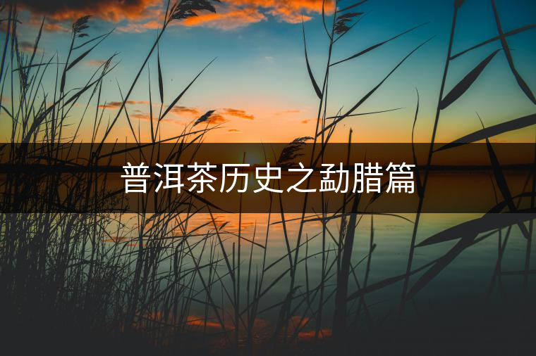 普洱茶歷史之勐臘篇