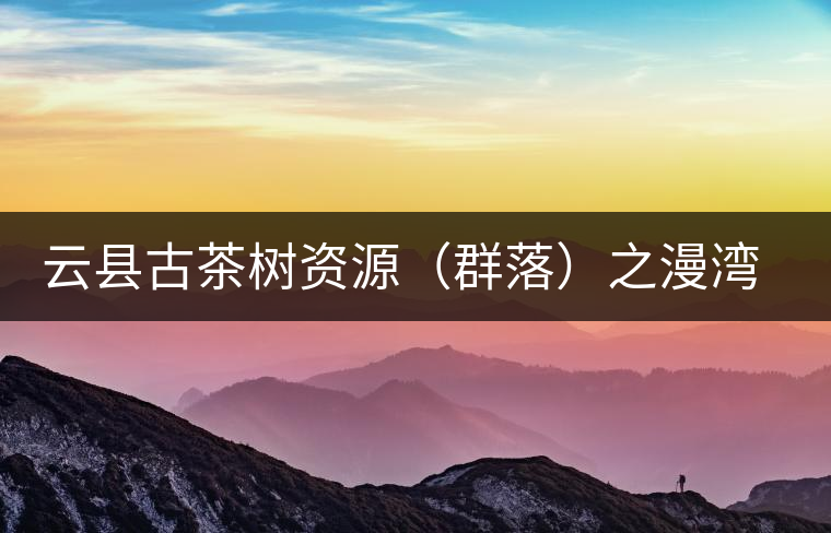 云縣古茶樹資源（群落）之漫灣鎮(zhèn)、茂蘭鎮(zhèn)大丙山